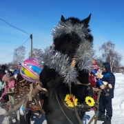 Посмотреть крупнее