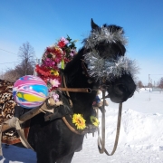 Посмотреть крупнее