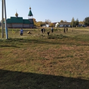 Посмотреть крупнее
